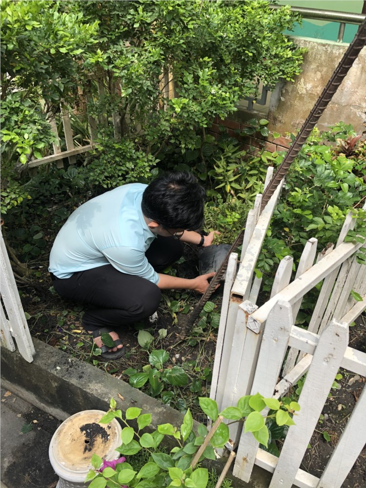 Ảnh đại diện